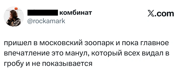 Источник: X (Twitter)