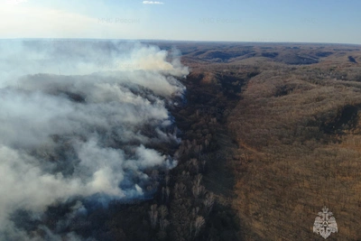 В Приамурье за сутки зафиксировано 32 очага пожаров