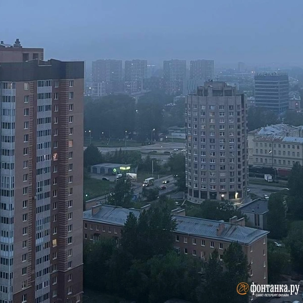Источник: Фонтанка.ру