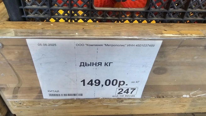 Один килограмм дыни в «Метрополисе» стоит 149 рублей | Источник: Дарья Никитченко / 45.RU