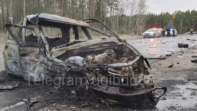 Оба водителя получили травмы, несовместимые с жизнью | Источник: Госавтоинспекция Югры / T.me