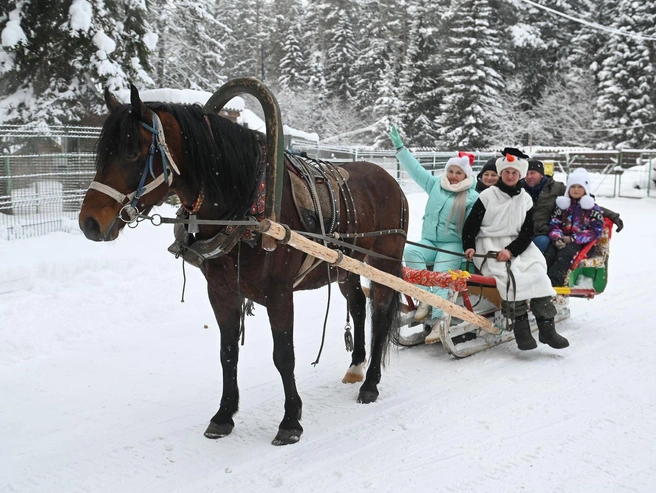 Источник: Дмитрий Емельянов / E1.RU
