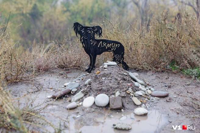 Заботливые хозяева поставили фигурный памятник на «бугорке» дорогого сердцу члена семьи | Источник: Алексей Волхонский / V1.RU