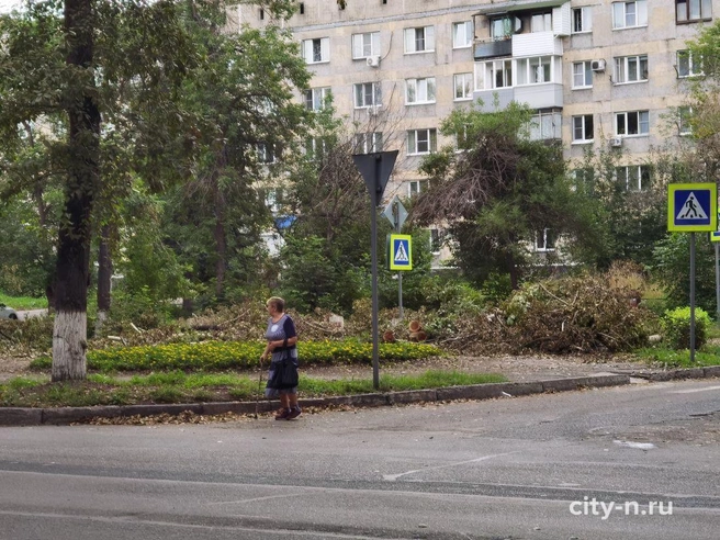Источник: city-n.ru
