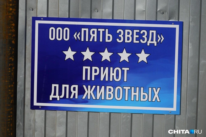Один из самых известных приютов компании находится в Угданском проезде в Чите | Источник: Олег Фёдоров / CHITA.RU