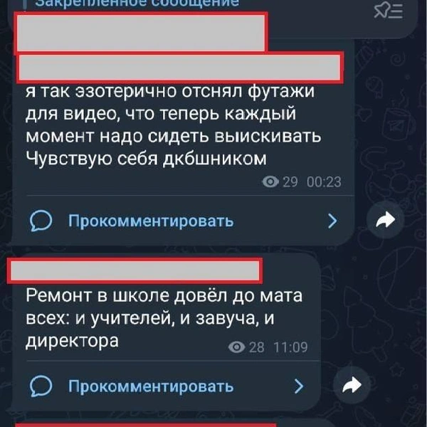 Источник: ТОР / T.me