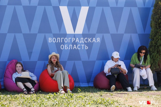 Под усердно внедряемой символикой Волгоградской области в виде буквы V можно было найти немного тени | Источник: Алексей Волхонский / V1.RU