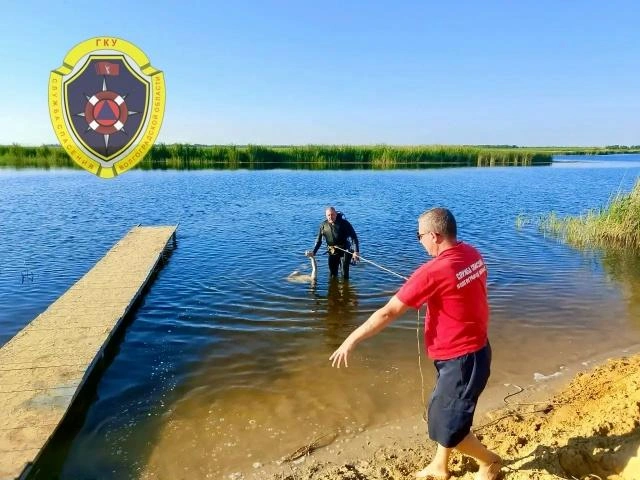 Тело молодого человека было найдено на глубине примерно 7 метров | Источник: ГКУ «Служба спасения» / Vk.ru
