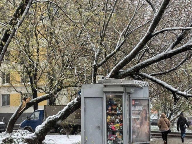 Источник: «Москва с огоньком» / T.me