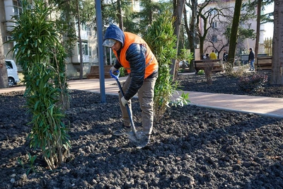 В Сочи создают сеть «карманных» скверов