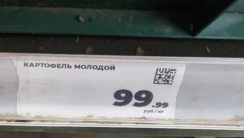 Цена за картофель «Магните» | Источник: Дарья Никитченко / 45.RU