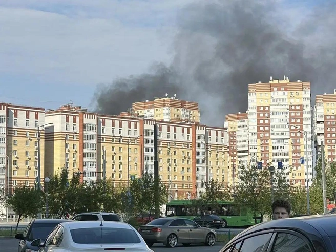 Дым перепугал всю округу | Источник: читатель 72.RU