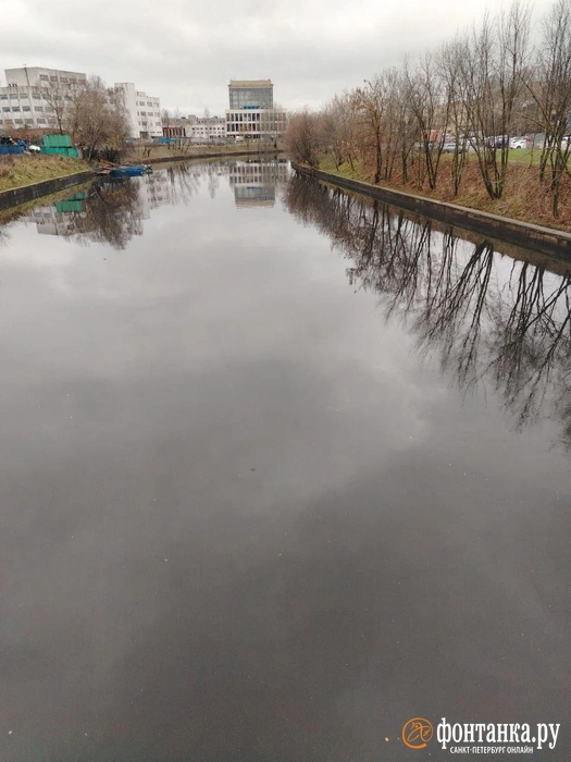 Источник: читатель «Фонтанки»