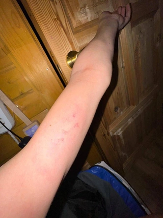 Елена Костылева