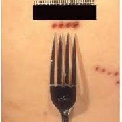 Вилку женщина использовала для повреждения пластиковых дверей автодома | Источник: www.city-n.ru