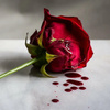 userpic__Таой Первый