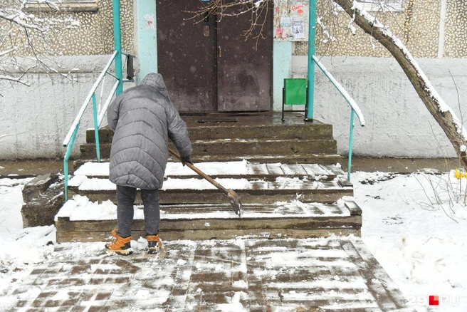 Источник: Иван Митюшёв / 29.RU 