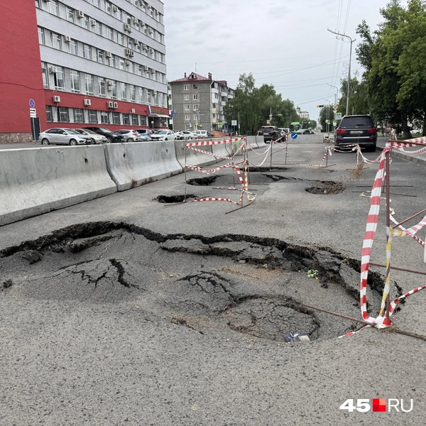 Источник: Юлия Король / 45.RU