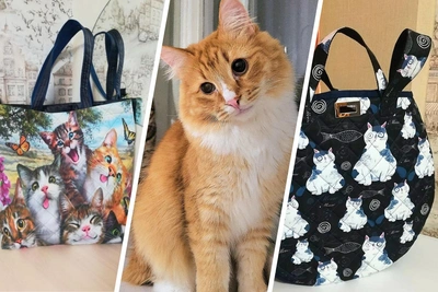 Архангельские мастерицы создают сумки для бездомных кошек