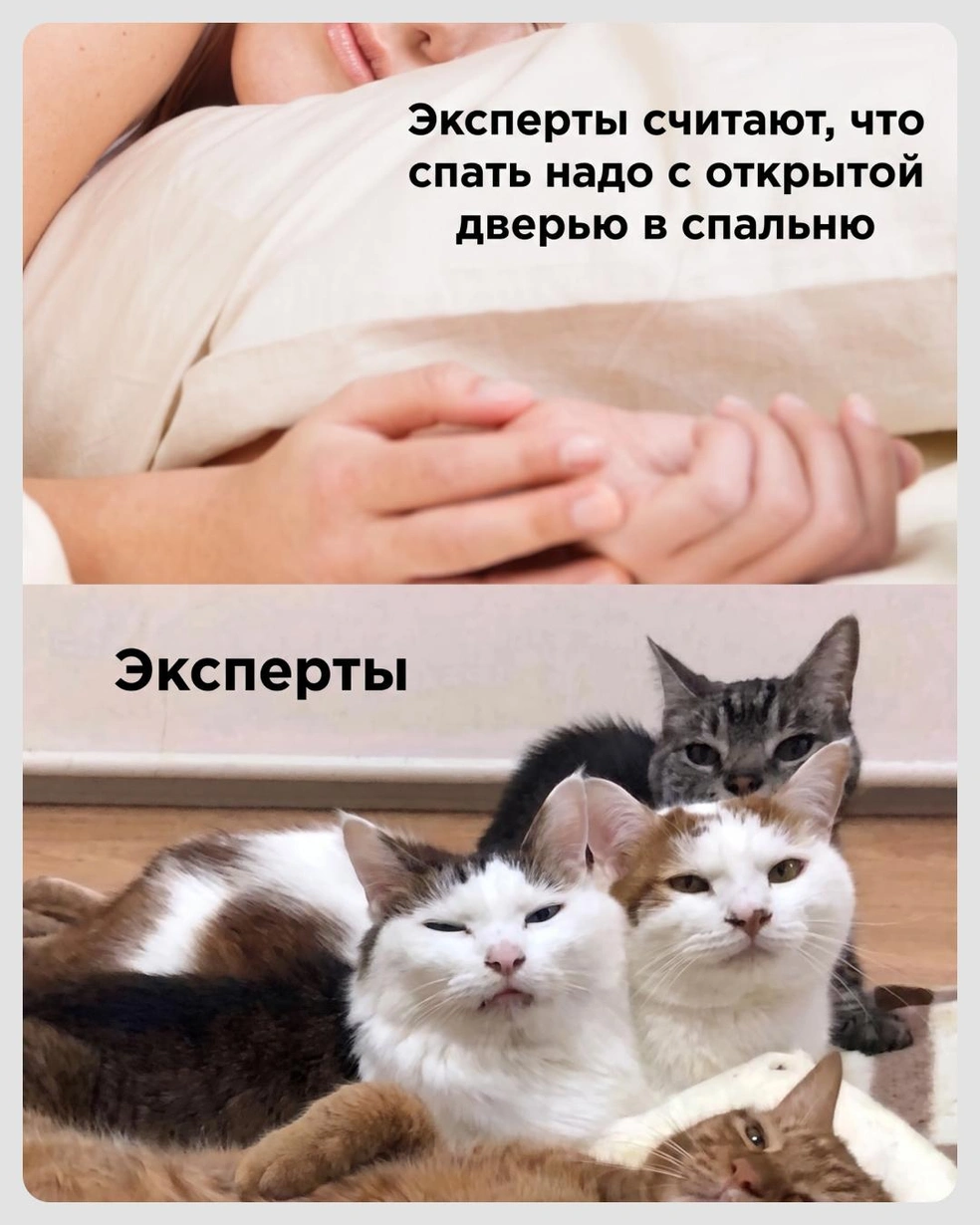 Эти эксперты не обманут | Источник: Городские медиа