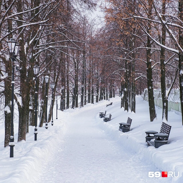 На аллеях тут тихо и спокойно | Источник: Тимофей Калмаков / 59.RU