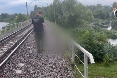 Электровелосипедист погиб под поездом в Нижегородской области