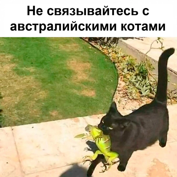Источник: соцсети