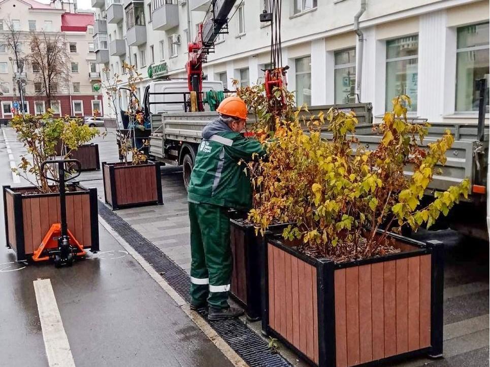 Из центра Перми увозят кадки с кустарниками. Что происходит?