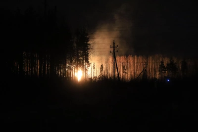 Человеческий фактор вызвал пожары на 8 тыс. га в Хасане