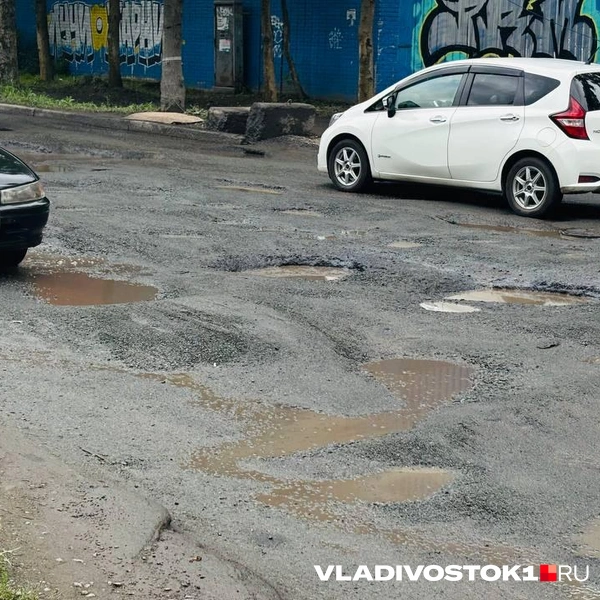 Источник: Елена Буйвол / VLADIVOSTOK1.RU