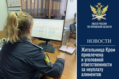 Жительница Кром ответит за долг по алиментам