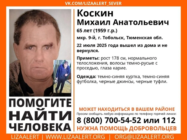 Источник: Поисковый отряд «ЛизаАлерт» Тюменской области / Vk.com