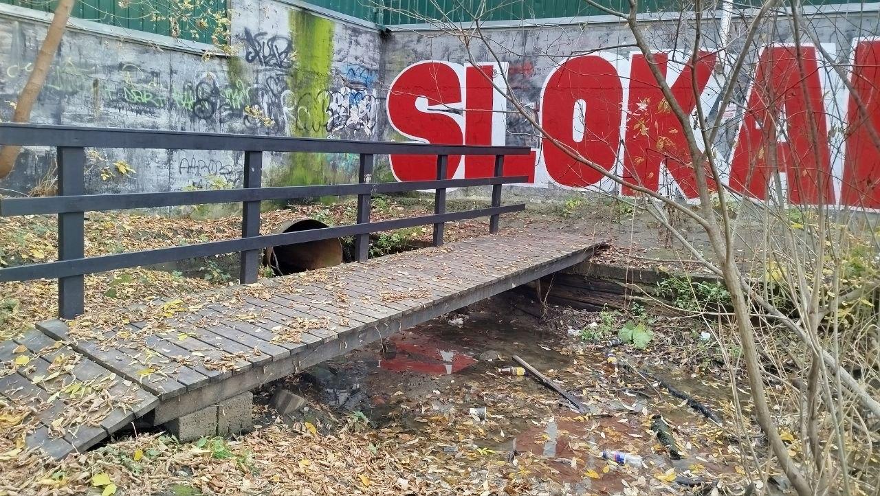 «Центр города и везде мусор»: тюменка показала, как выглядит исток малой реки, впадающей в Туру