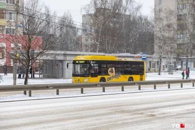 Новогоднее расписание автобусов в Ярославской области