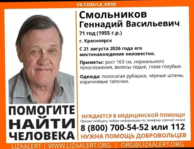 Поисковикам нужны добровольцы | Источник: предоставлено внучкой Геннадия