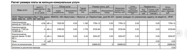 Девушка вскрыла важную проблему — пенсионеры не получают льгот за электроснабжение, и им приходится платить внушительные суммы | Источник: Ксения, подписчица «ИрСити»