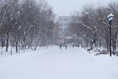 В Кургане школы закрыты на третий день из-за мороза