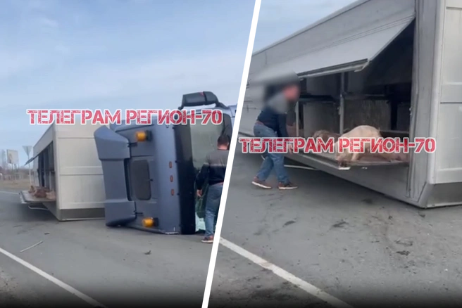 Водитель грузовика травм не получил | Источник: «Регион-70 Томск» / Telegram