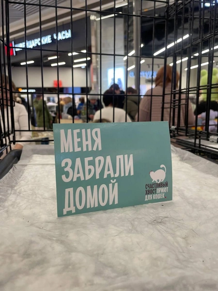 Источник: ТРЦ iMall ЭСПЛАНАДА