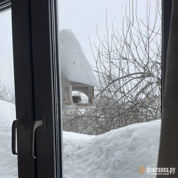 Снег в Москве, день второй. Тягачи и краны вытягивают грузовики, отменяются авиарейсы | Источник: читательница «Фонтанки» Мария