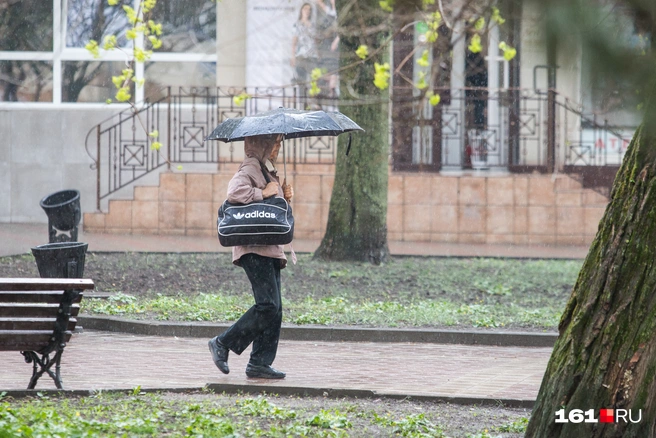 В регионе порывы ветра дойдут до 15-18 метров в секунду | Источник: Евгений Вдовин / 161.RU