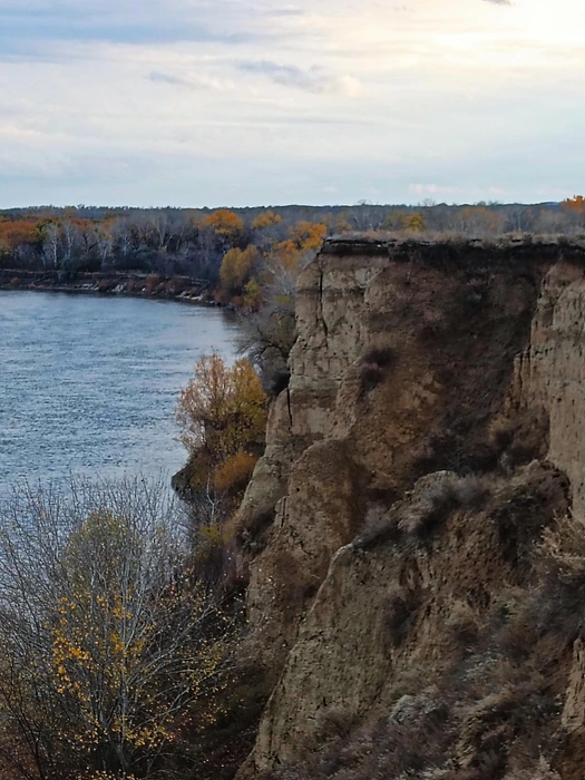 Источник: читатели V1.RU