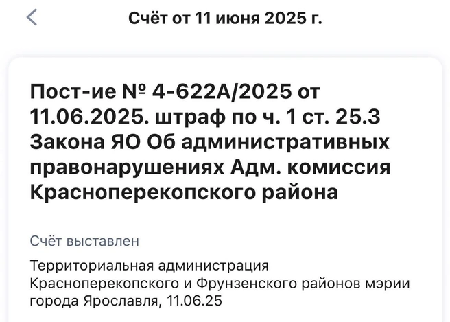 Постановление было выписано по той же статье | Источник: Yaroslavl Art / Telegram
