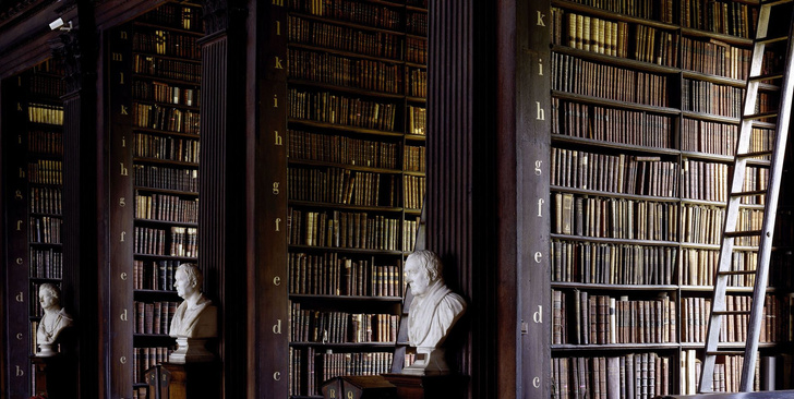Самые потрясающие библиотеки мира (фото 46)