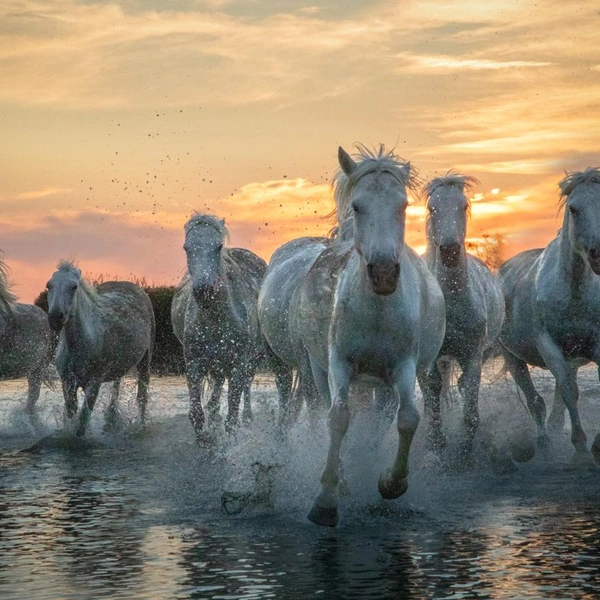Источник: Matt Dusig / Fine Art Photography Awards 2025