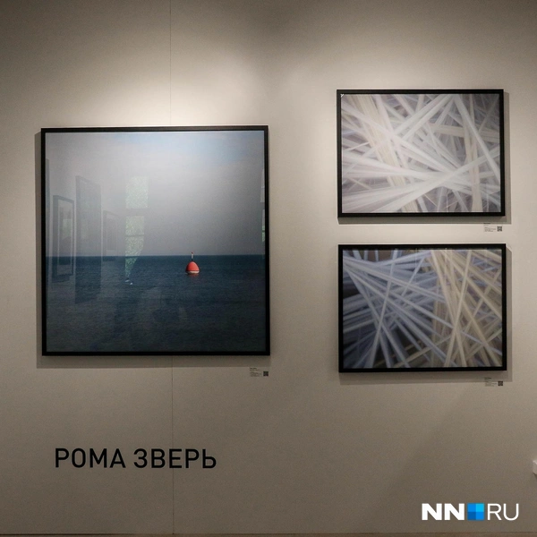На ярмарке также были представлены фото, сделанные музыкантом группы «Звери» | Источник: Наталья Бурухина / NN.RU