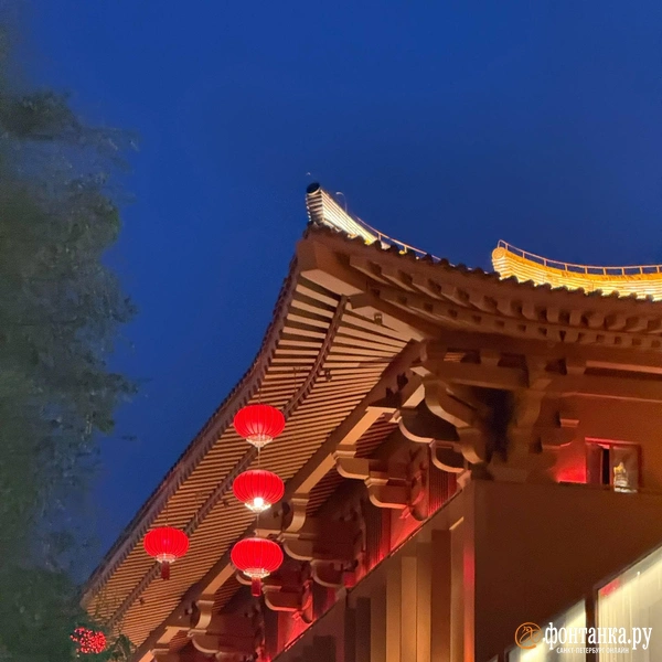 Источник: Милена Солдатенко / «Фонтанка.ру»