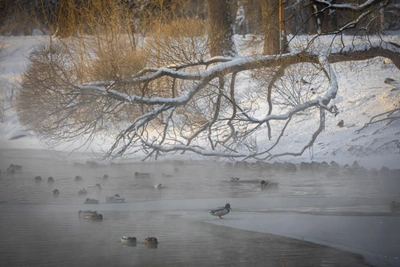 На Урал надвигается ультраполярный холод с морозами до -42°