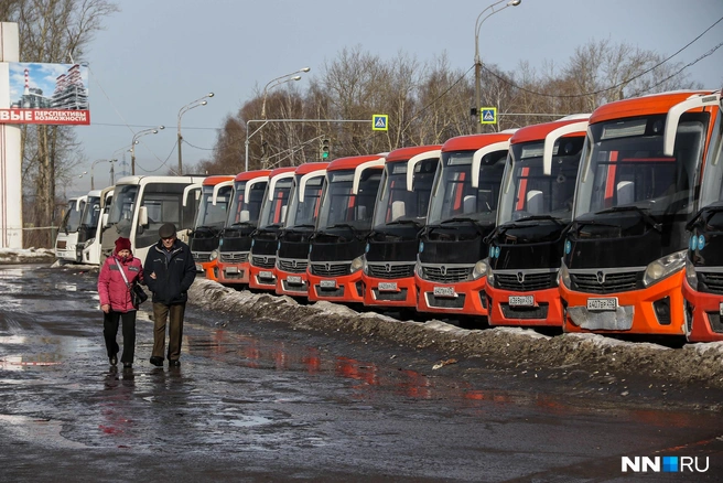 Стоянка автобусов около автостанции | Источник: Наталья Бурухина / NN.RU