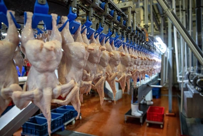 Из Башкирии в Узбекистан поставили 287 тонн курятины